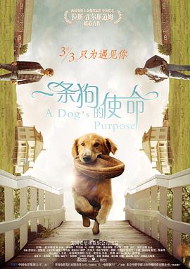 陈佩斯《戏台》曝特别视频 2025-07-23 由陈佩斯自编自导自演的电影《戏台》推出“我在民国当乙方”特别视频，以现代职场为喻，从五庆班班主侯喜亭（陈佩斯饰）的视角出发，趣味拆解其在乱世中带领戏班艰难求生的“职场智慧”。