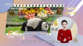 然而事与愿违，甜茶因为没有正确停放自行车，因此被罚款65英镑，约合582.79元人民币。